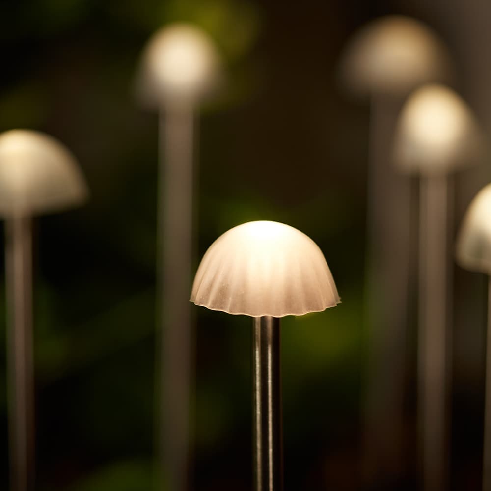 Solar Mushroom Lights - Set Of 12