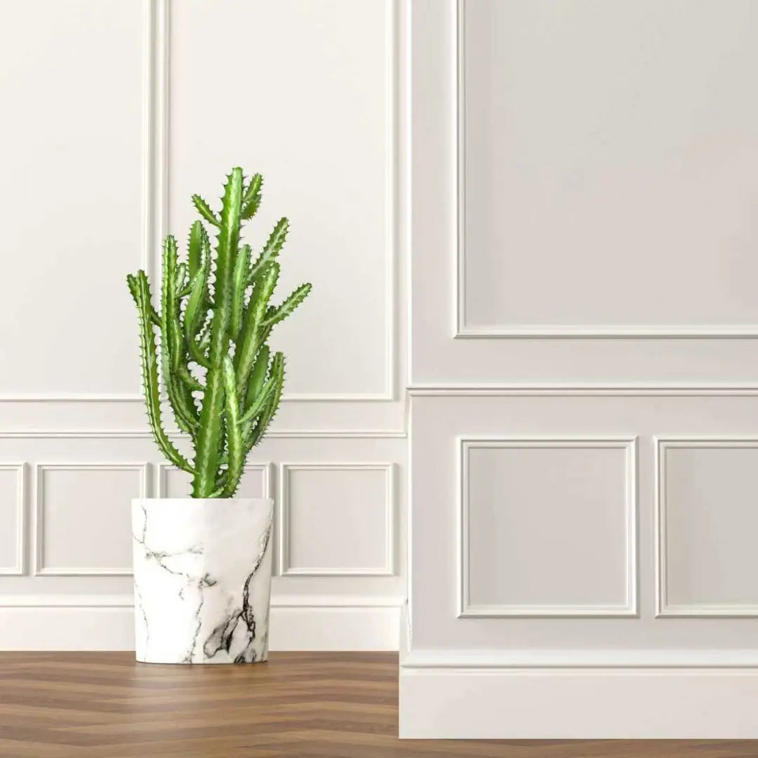 Heritage Wall Moulding | Dado Rail | L2400mm x W20mm x D10mm