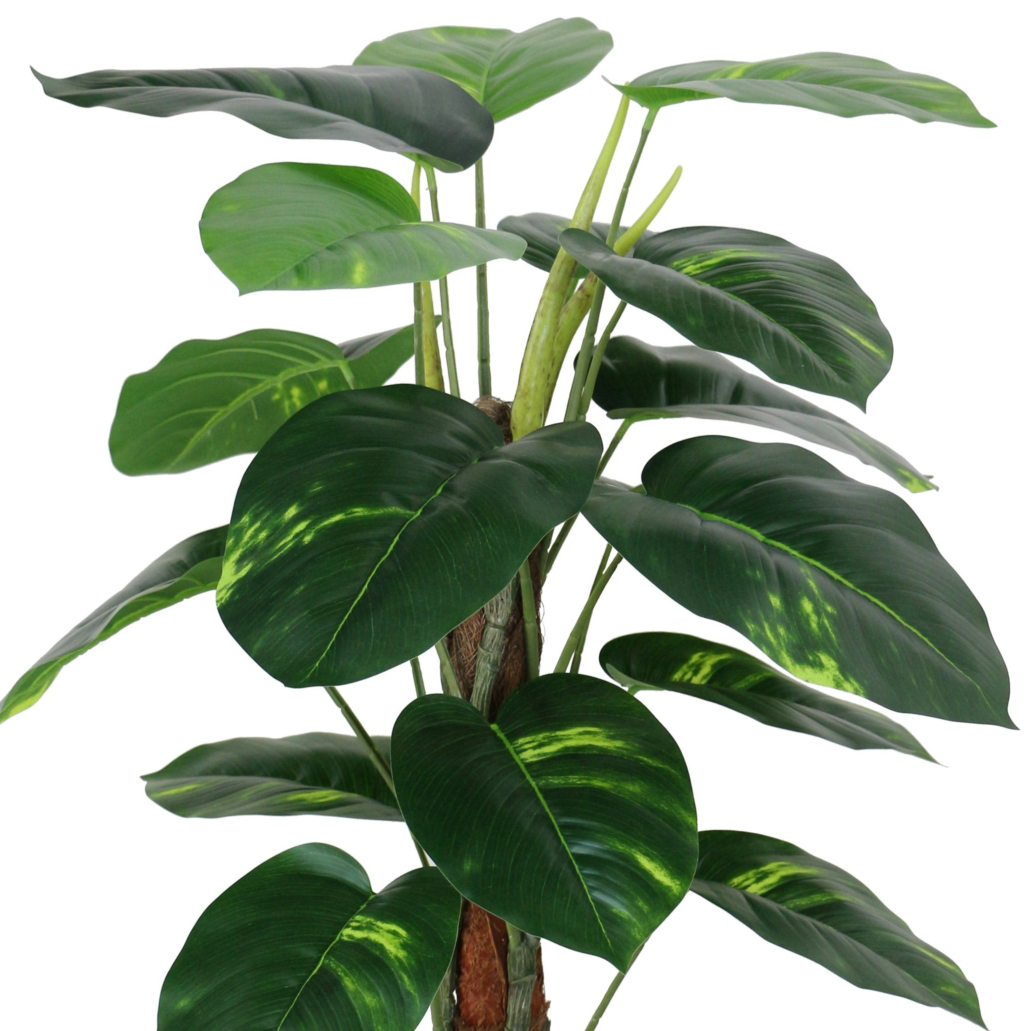 Outdoor Artificial Dieffenbachia Plant - 75cm