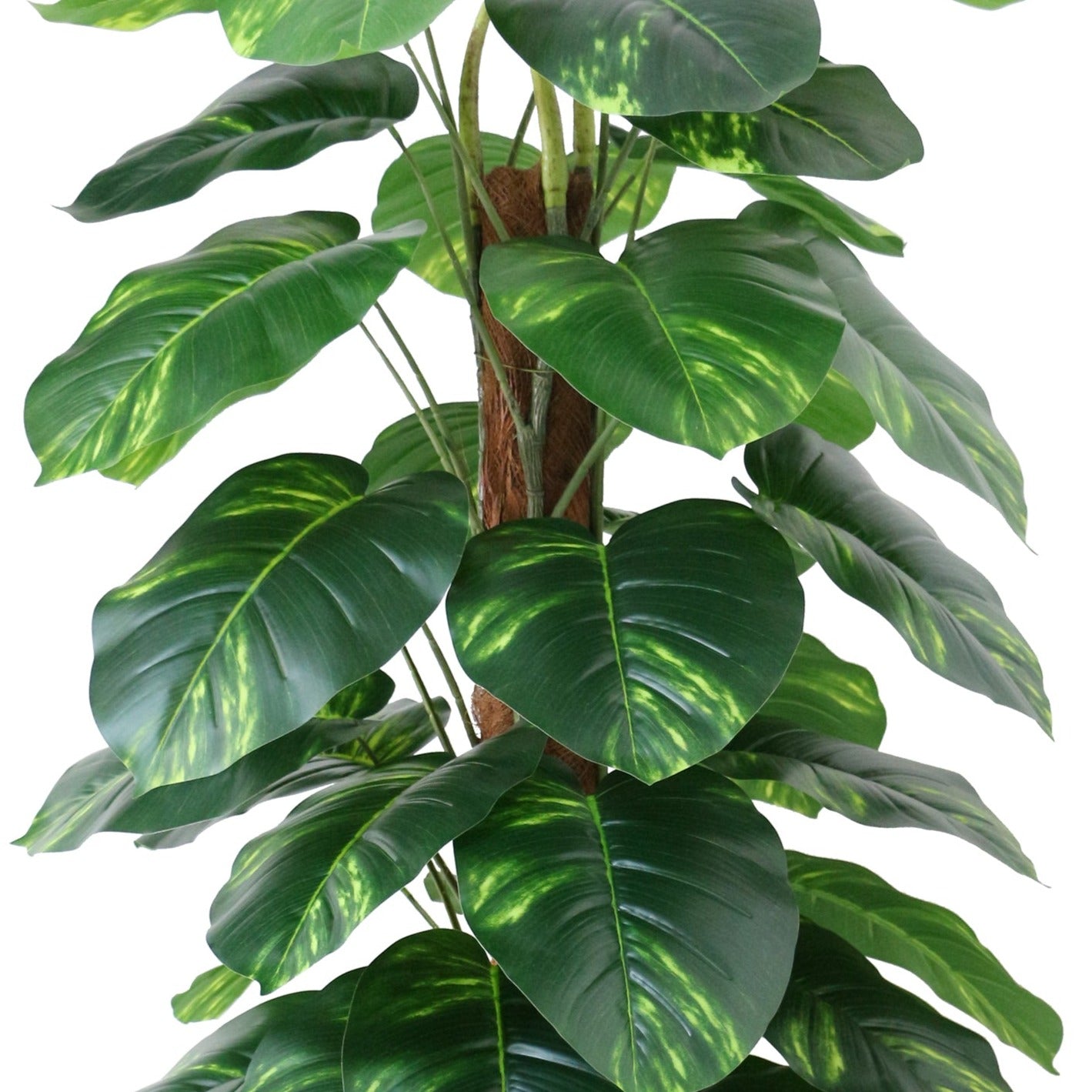 Outdoor Artificial Dieffenbachia Plant - 152cm