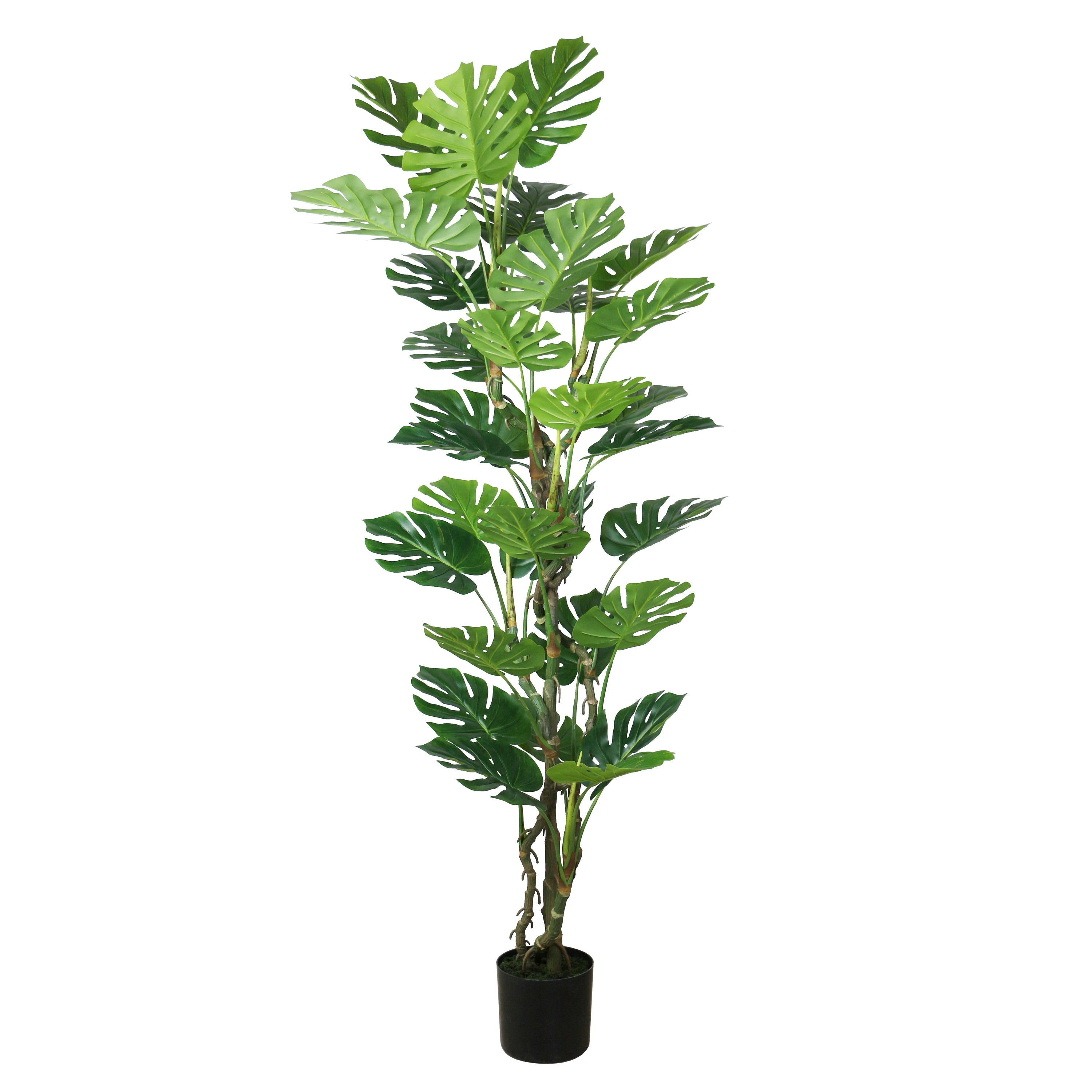Outdoor Artificial Monstera Plant - 200cm