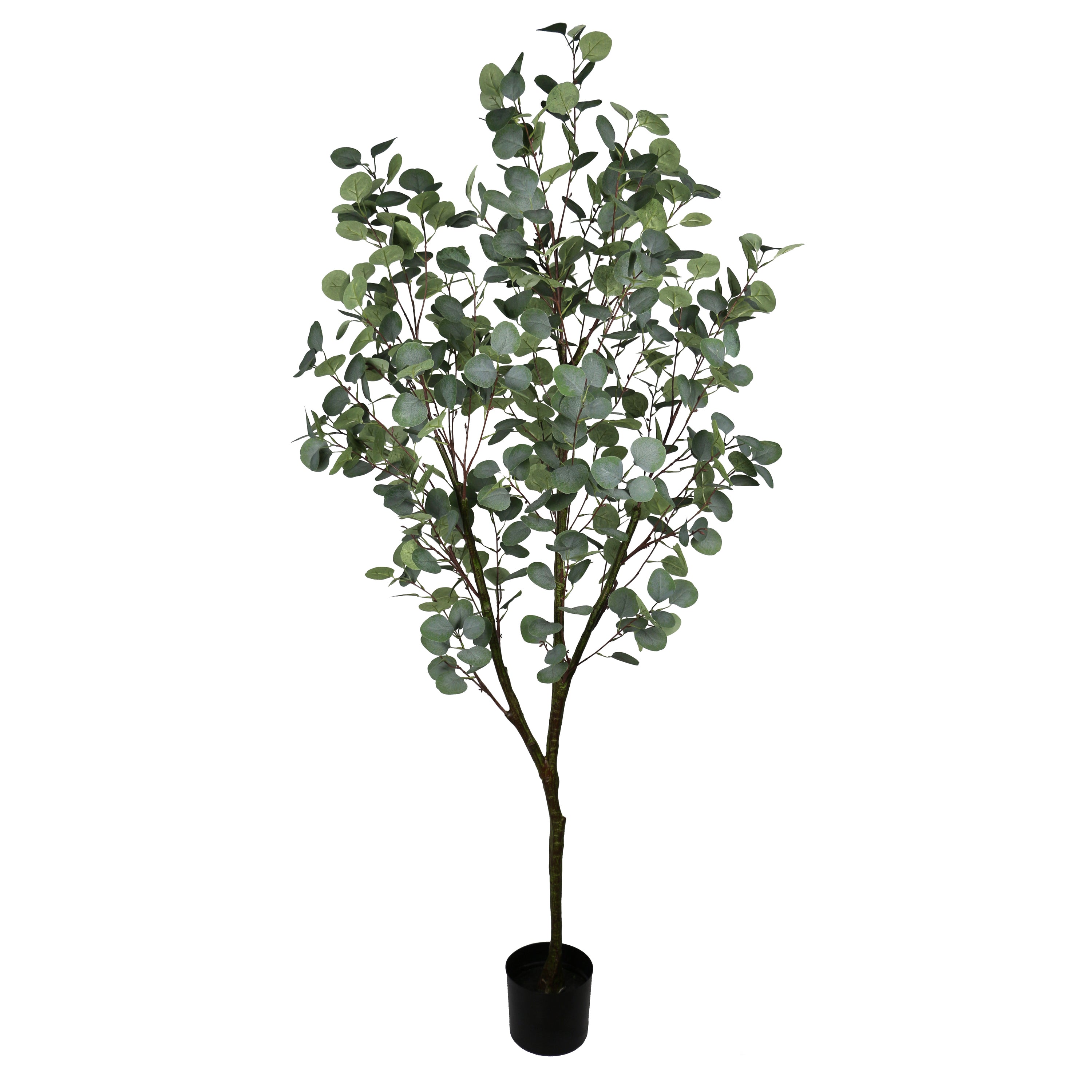 Outdoor Artificial Eucalyptus Tree - 182cm